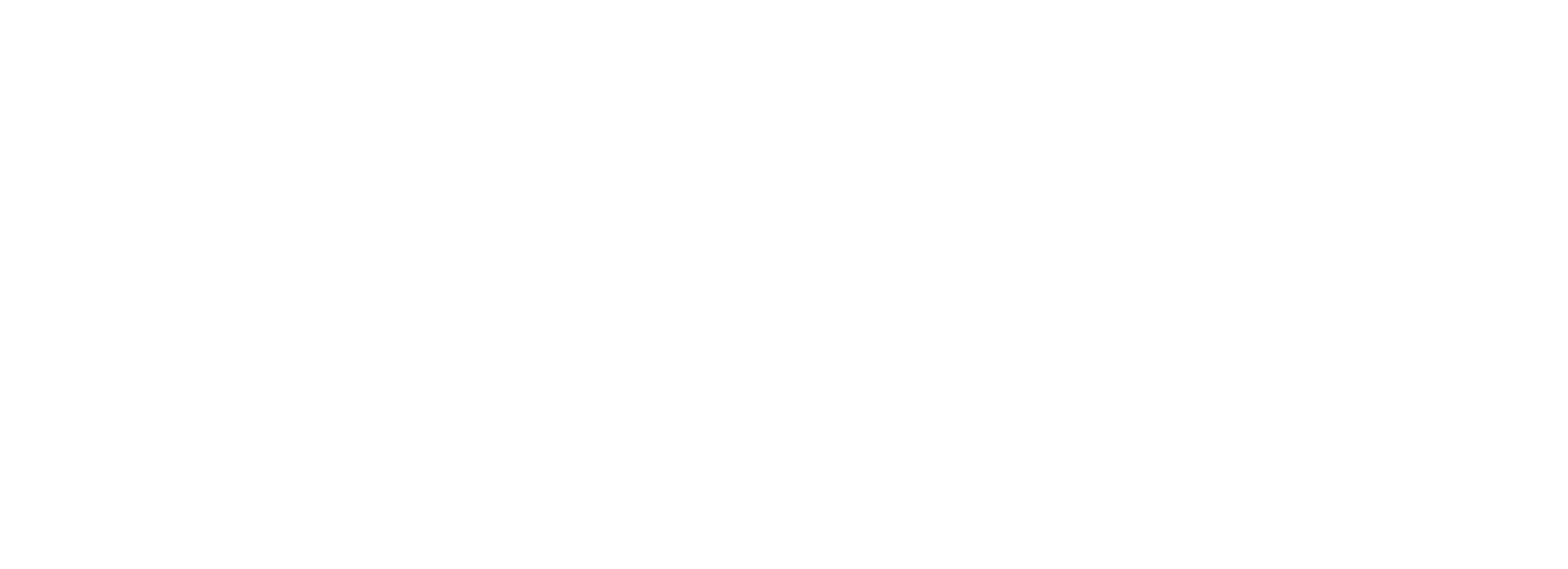 Zerve AI